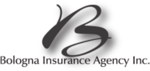 bologna insu agency logo